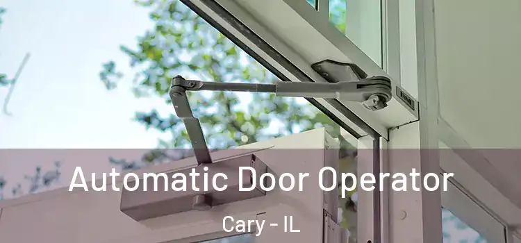  Automatic Door Operator Cary - IL