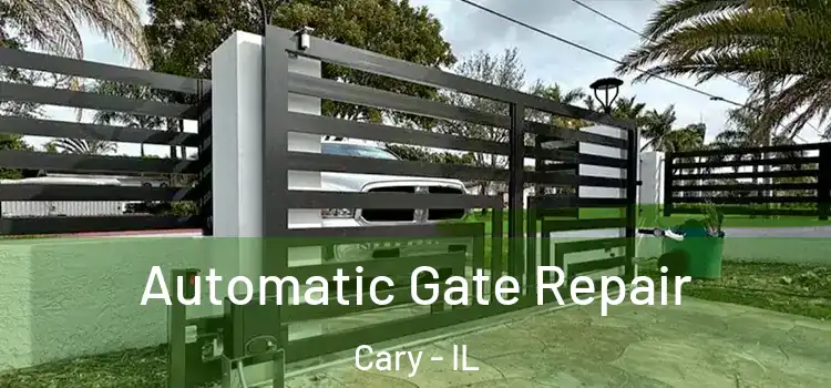  Automatic Gate Repair Cary - IL