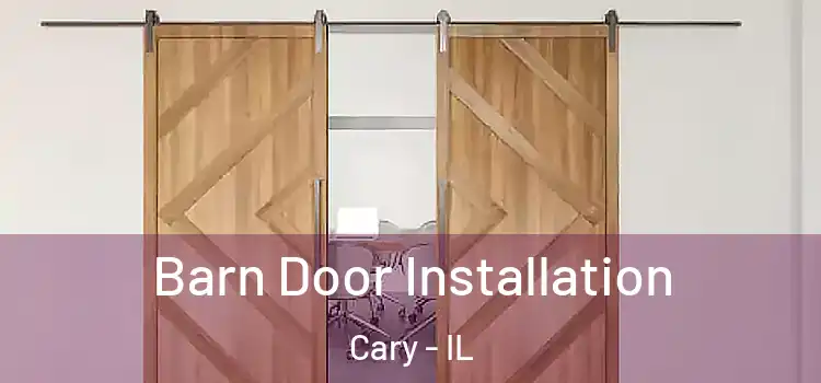  Barn Door Installation Cary - IL