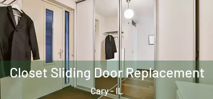 Closet Sliding Door Replacement Cary - IL