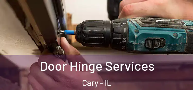  Door Hinge Services Cary - IL