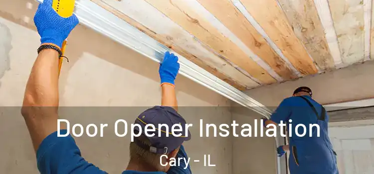 Door Opener Installation Cary - IL
