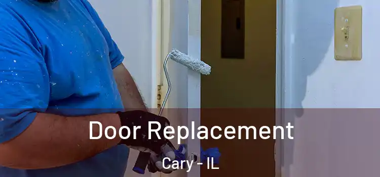  Door Replacement Cary - IL
