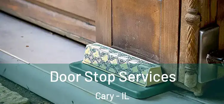Door Stop Services Cary - IL