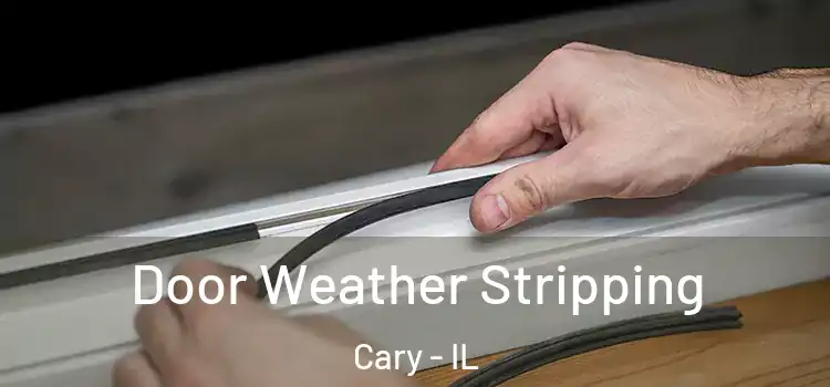 Door Weather Stripping Cary - IL