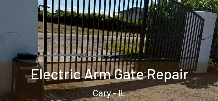  Electric Arm Gate Repair Cary - IL