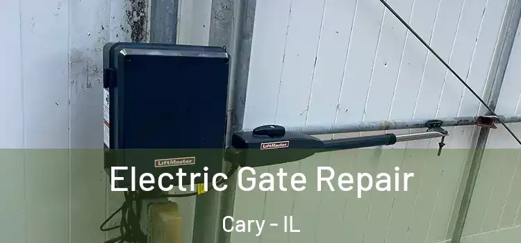 Electric Gate Repair Cary - IL