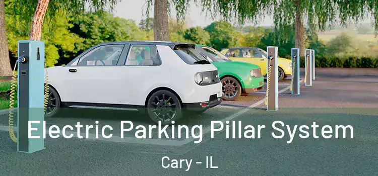  Electric Parking Pillar System Cary - IL