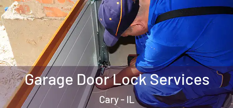 Garage Door Lock Services Cary - IL