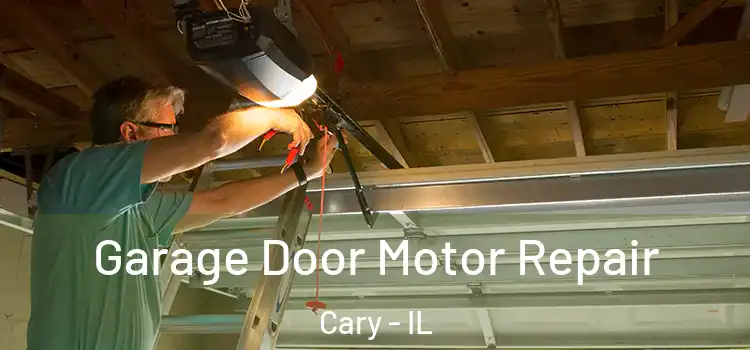  Garage Door Motor Repair Cary - IL