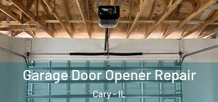 Garage Door Opener Repair Cary - IL