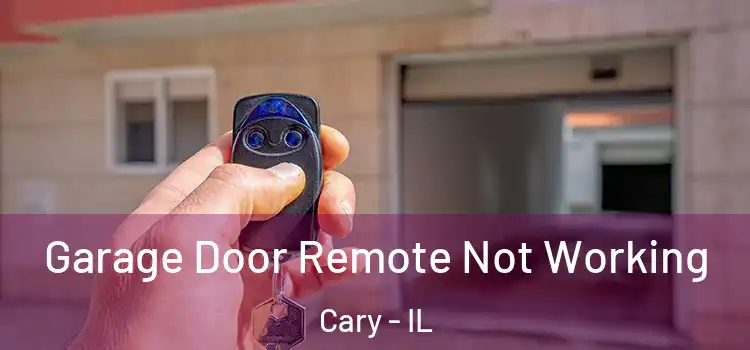  Garage Door Remote Not Working Cary - IL