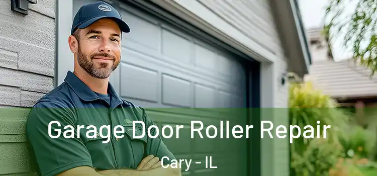  Garage Door Roller Repair Cary - IL