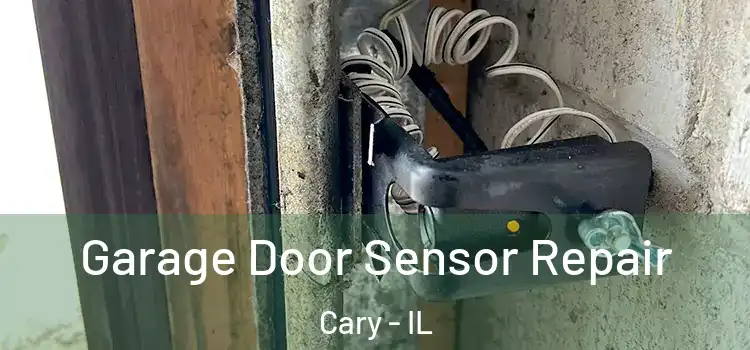 Garage Door Sensor Repair Cary - IL