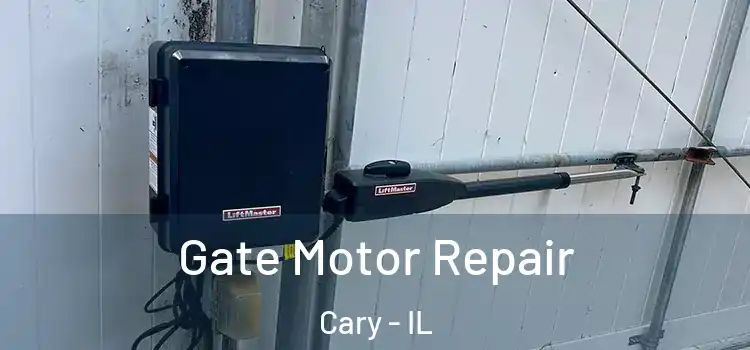 Gate Motor Repair Cary - IL