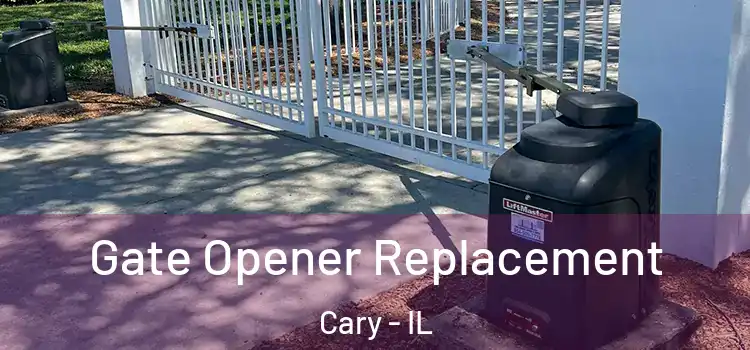  Gate Opener Replacement Cary - IL