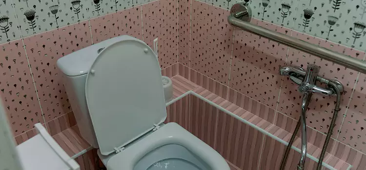 Meeting Diverse Needs With Accessible Restroom Solutions in Cary, IL