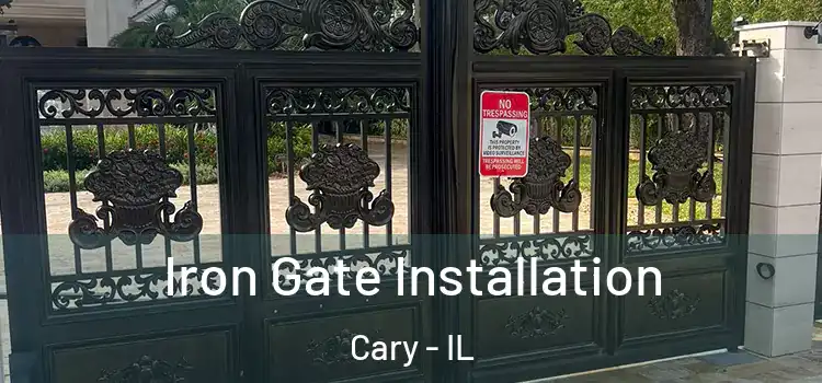Iron Gate Installation Cary - IL