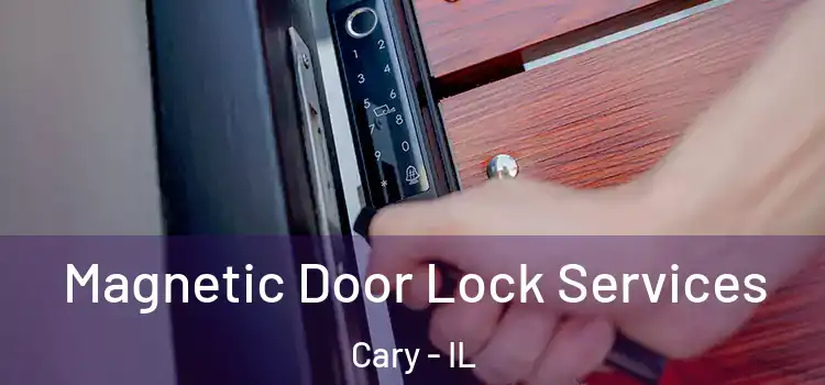 Magnetic Door Lock Services Cary - IL