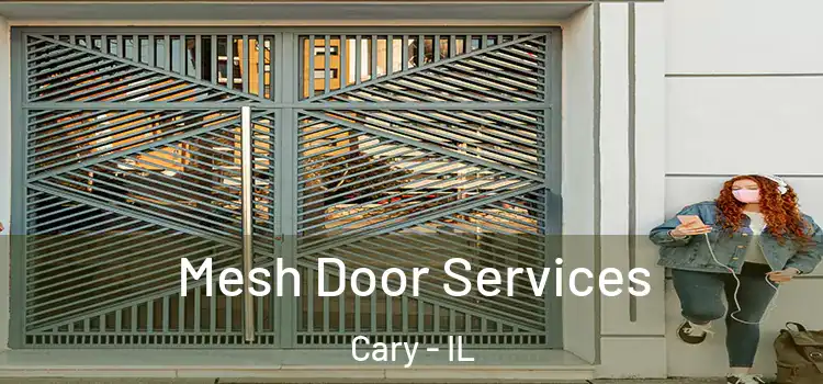  Mesh Door Services Cary - IL