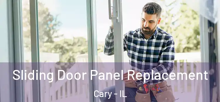  Sliding Door Panel Replacement Cary - IL