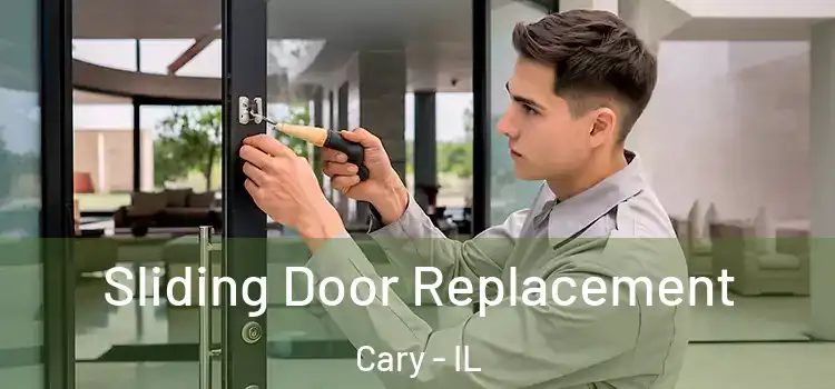 Sliding Door Replacement Cary - IL