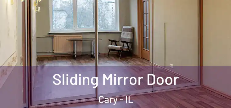 Sliding Mirror Door Cary - IL