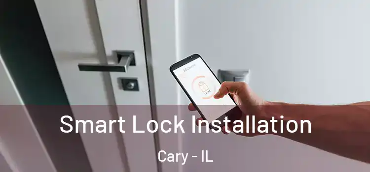 Smart Lock Installation Cary - IL