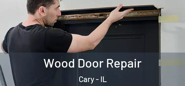 Wood Door Repair Cary - IL
